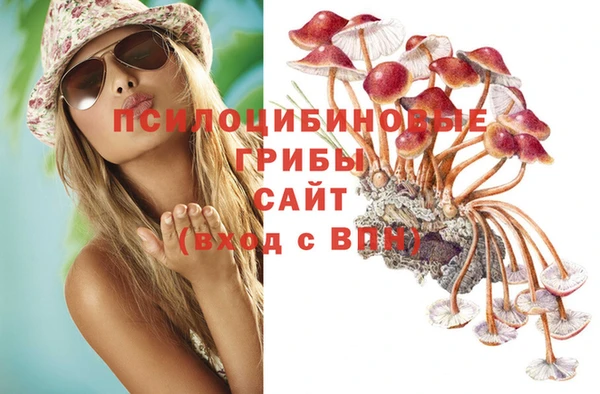 кокс Армянск