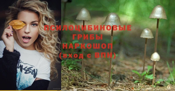 кокс Армянск