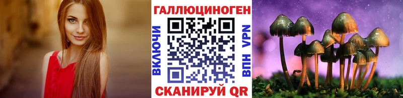 купить   Обоянь  Галлюциногенные грибы GOLDEN TEACHER 